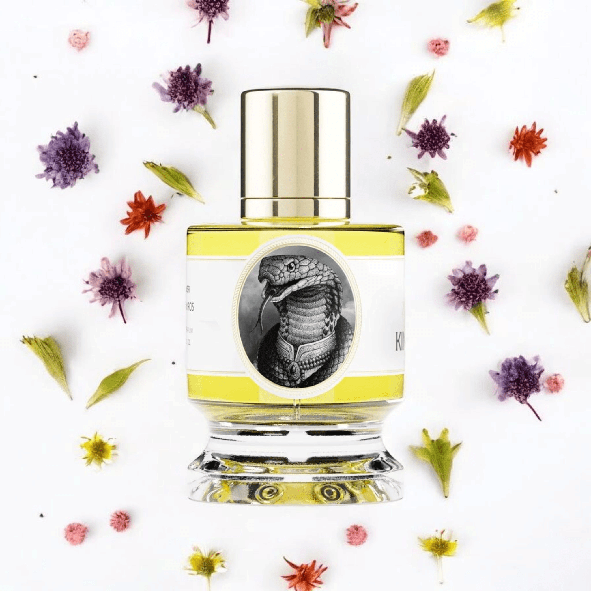 Zoologist King Cobra | Fragrance Samples UK