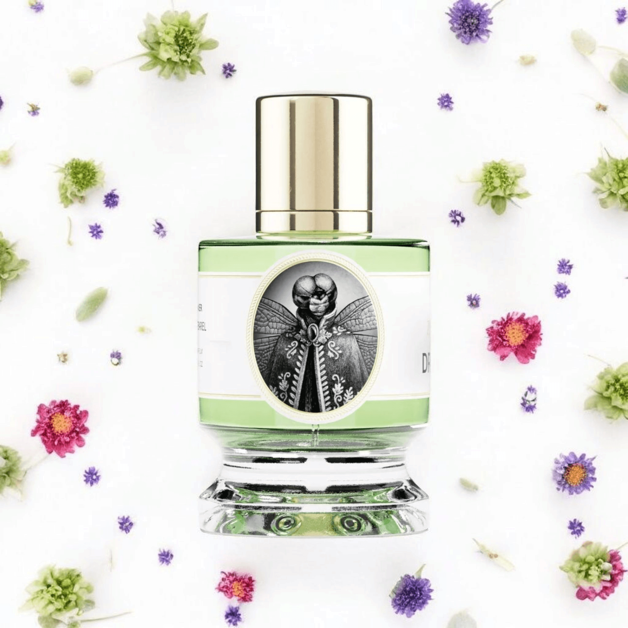 Zoologist Dragonfly Edition 2021 | Fragrance Samples UK