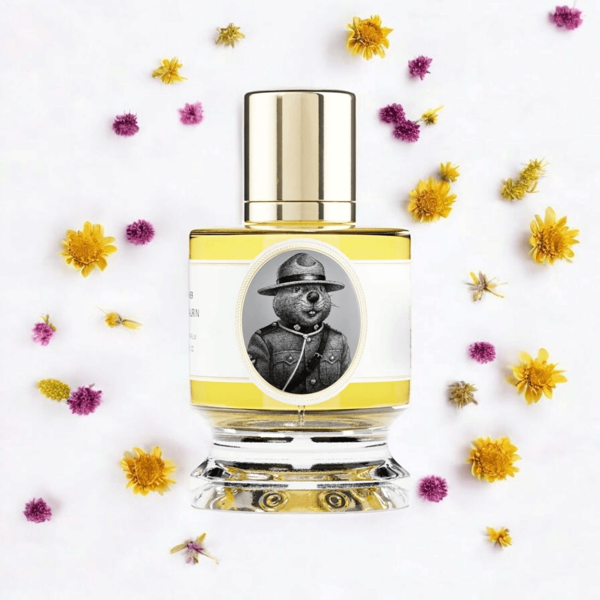 Zoologist Beaver Maple Edition | Fragrance Samples UK