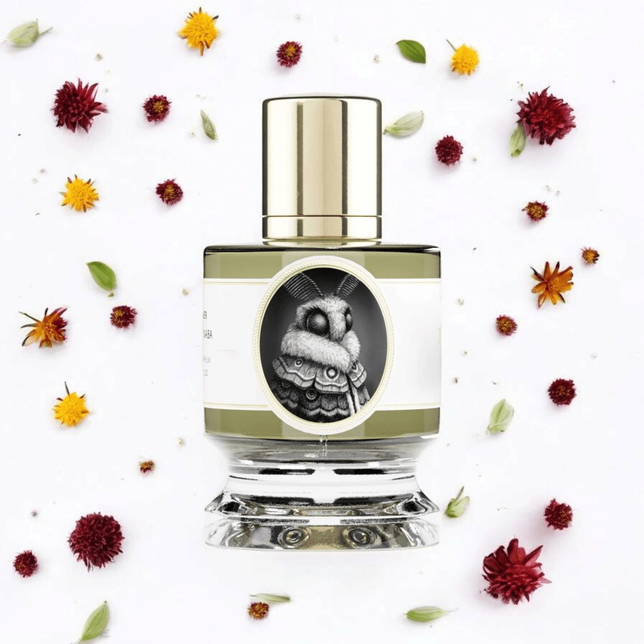 Zoologist Moth | Fragrance Samples UK