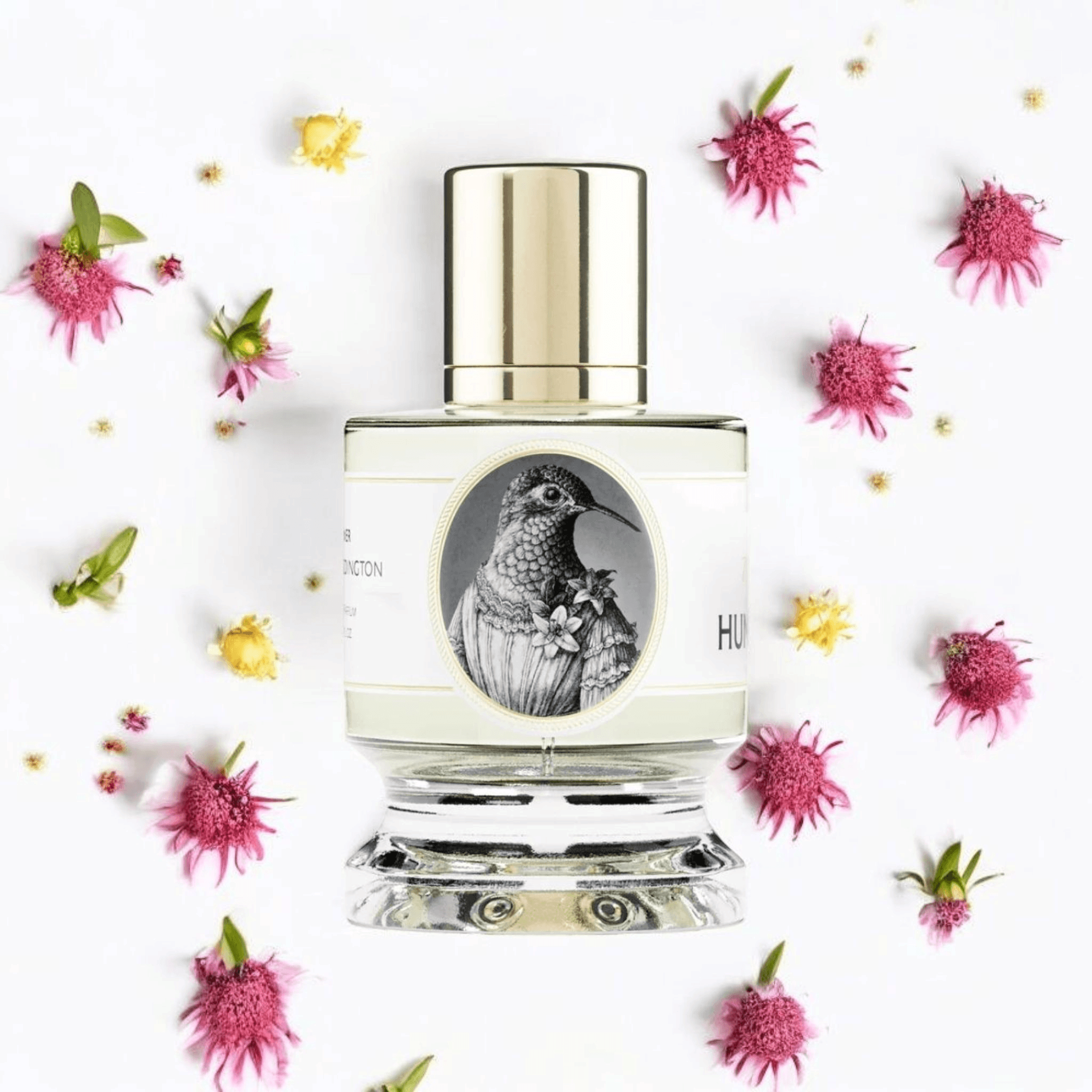 Zoologist Hummingbird | Fragrance Samples UK