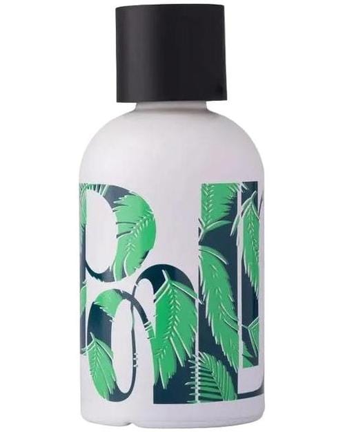The Fragrance Kitchen Palm Fiction