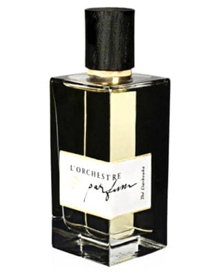 L'orchestre Parfum Thé Darbouka