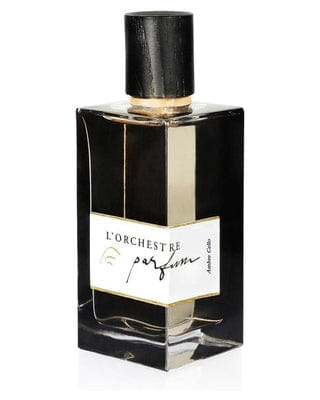 L'orchestre Parfum Ambre Cello