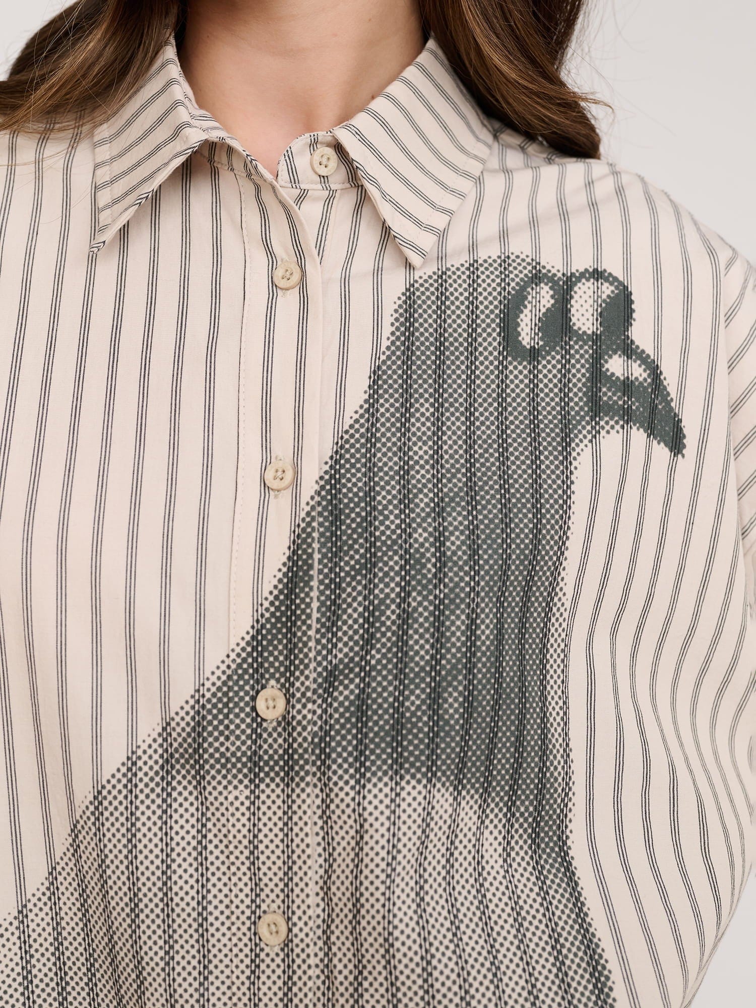 Lazy Oaf Pigeon Striped Long Sleeve Shirt