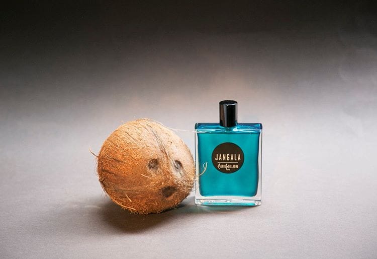 Pierre Guillaume Cruise/croisiere Jangala 2019 Edit (Discontinued)