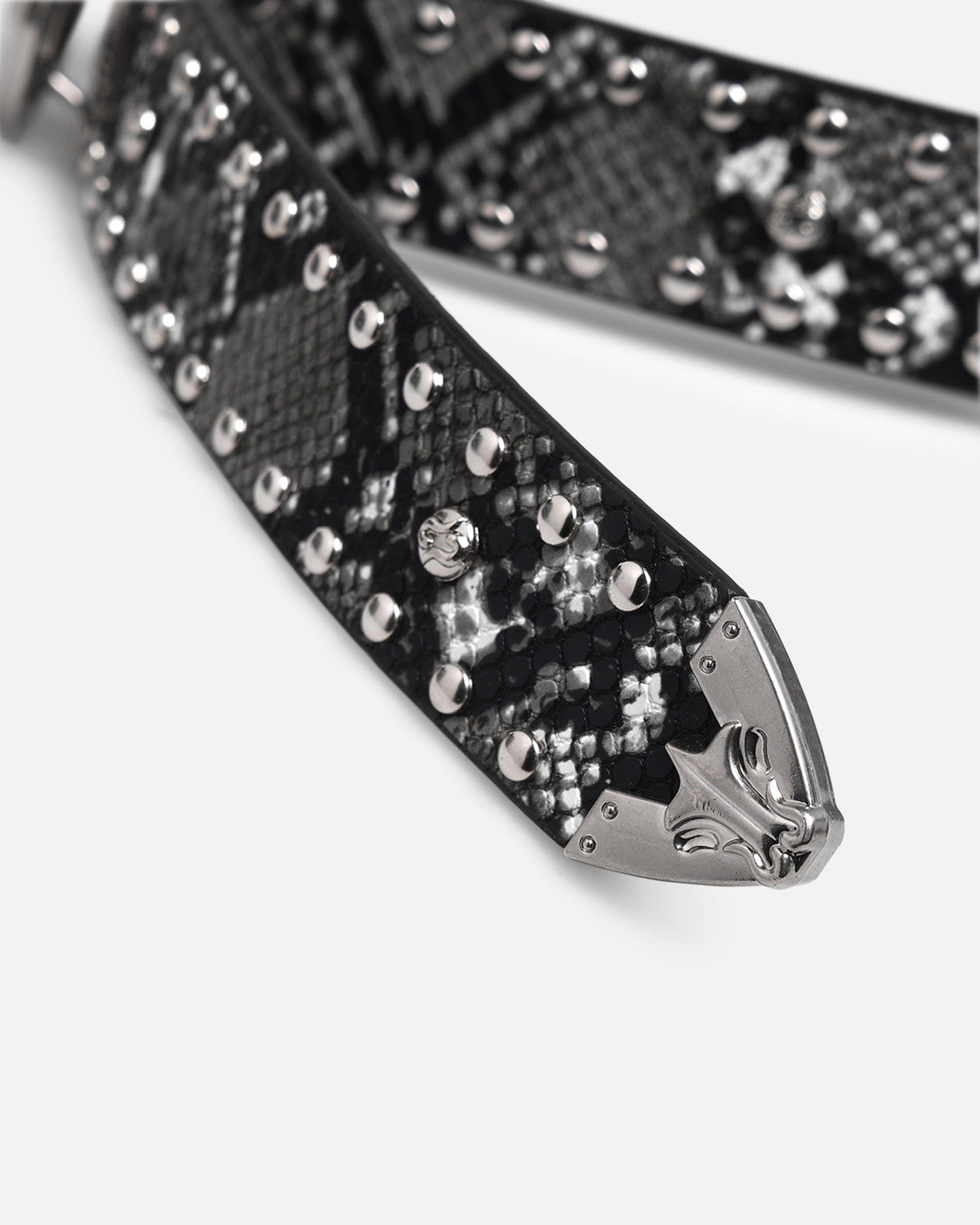 Loiter Holy Fire Belt Black