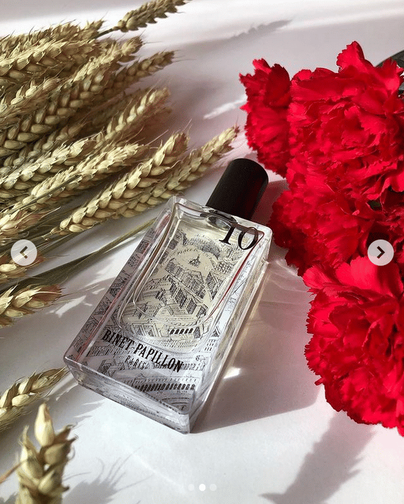 Binet-Papillon No. 10 – Night Warrior