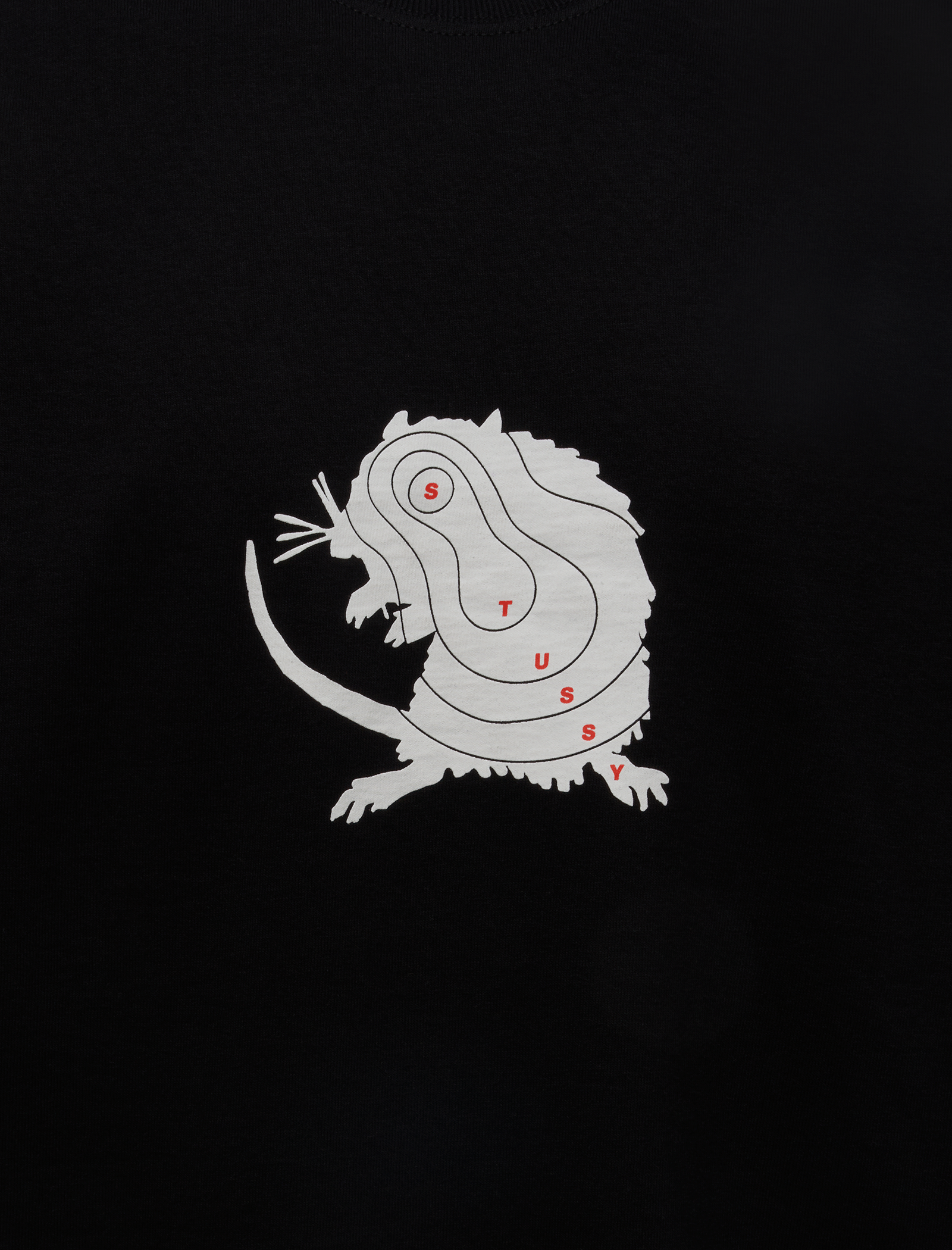 STÜSSY LONG RANGE T-Shirt