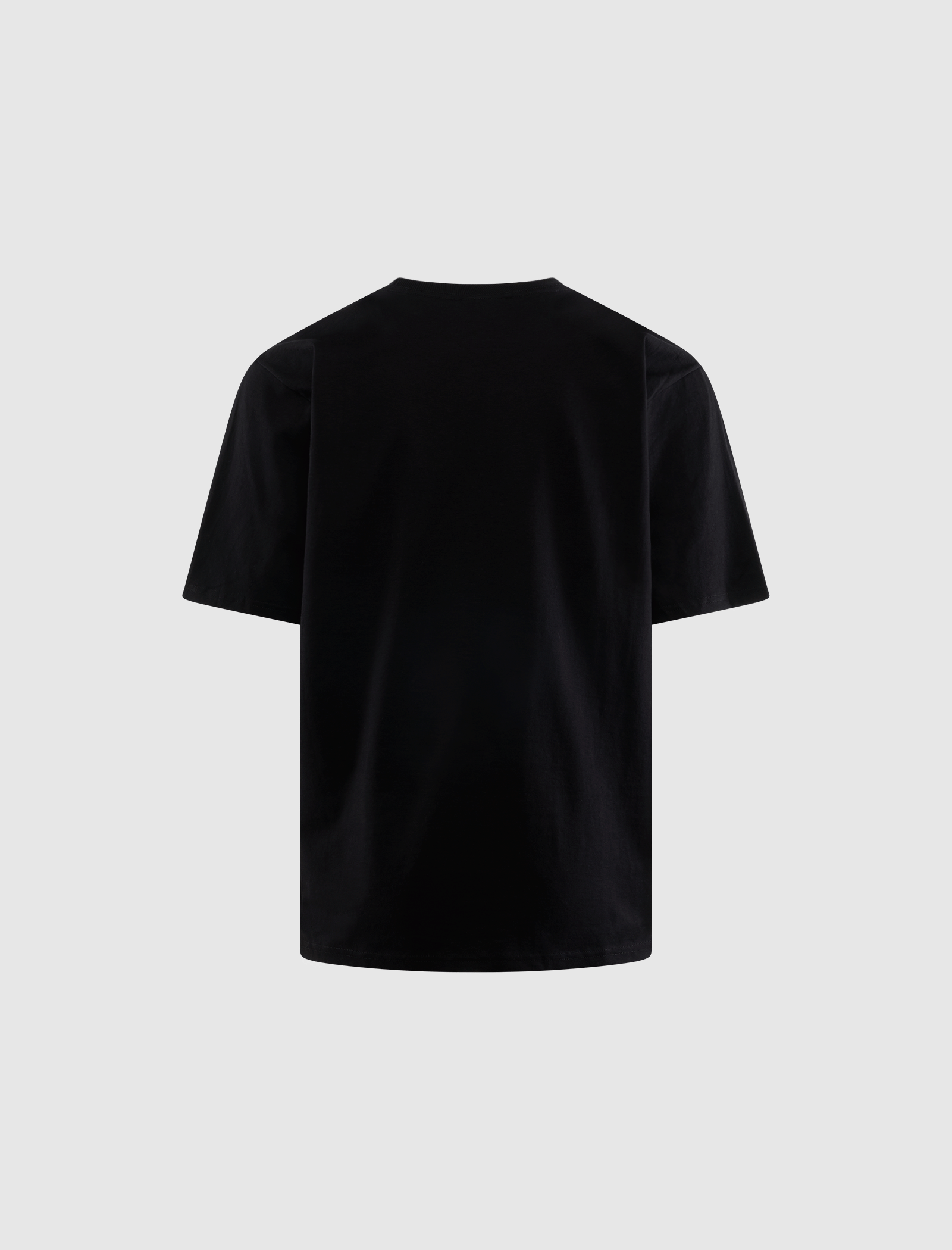 STÜSSY LONG RANGE T-Shirt