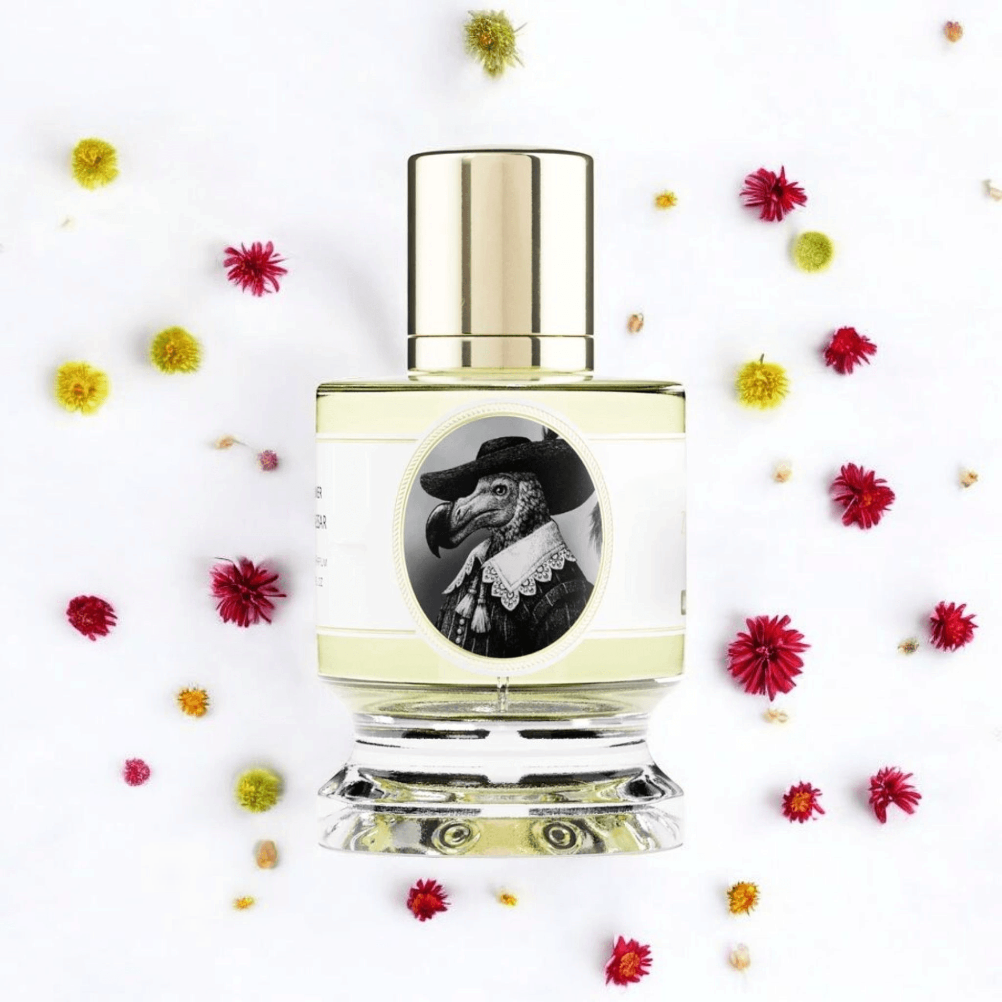 Zoologist Dodo | Fragrance Samples UK