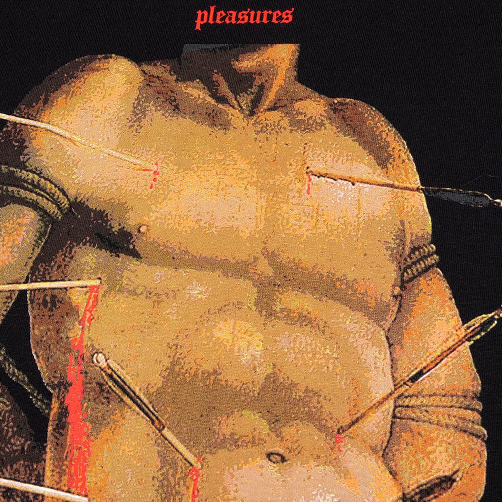 Pleasures Hurt T-Shirt (Black)