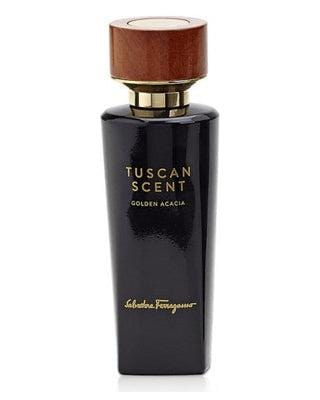 By Salvatore Ferragamo Golden Acacia