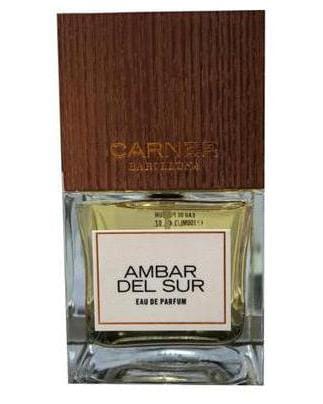 Carner Barcelona Ambar Del Sur