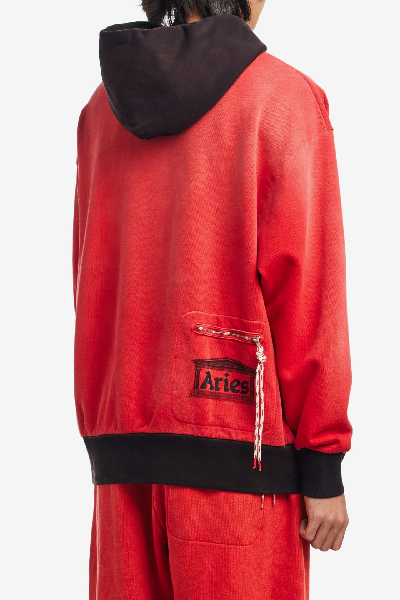 ARIES SUNBLEACHED PREMIUM TEMPLE SPORTS HOODIE