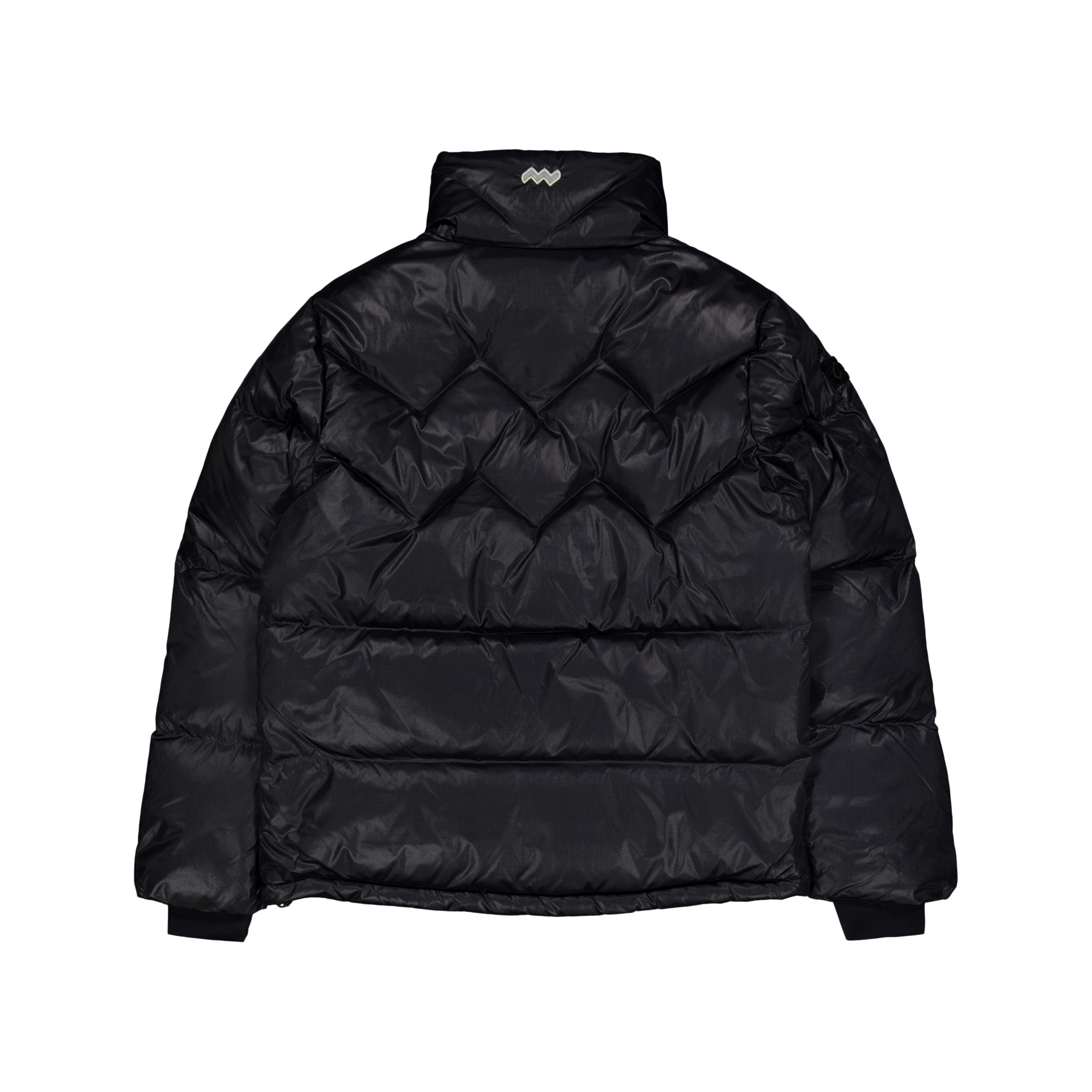 Mountain Works Paragon Down Parka