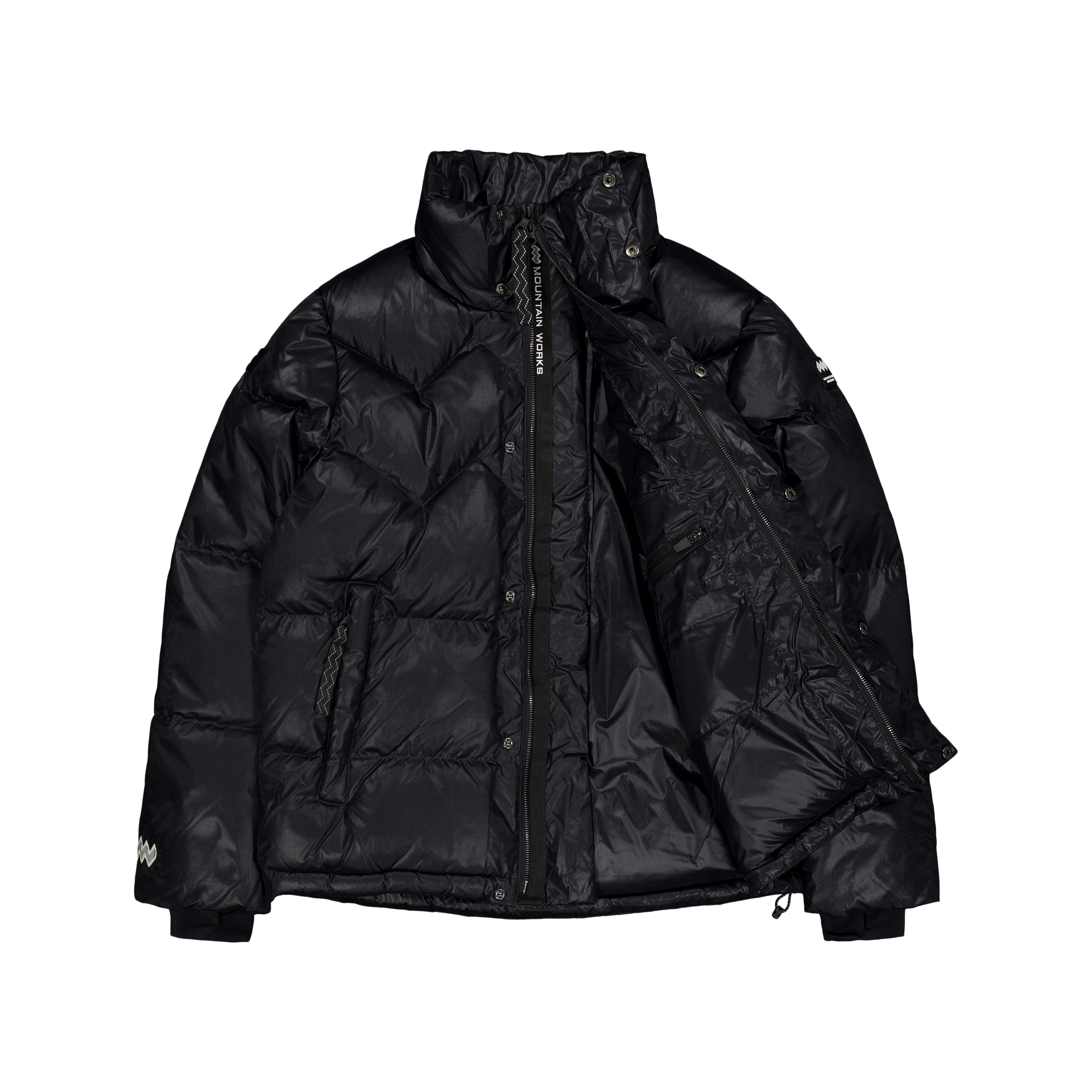 Mountain Works Paragon Down Parka