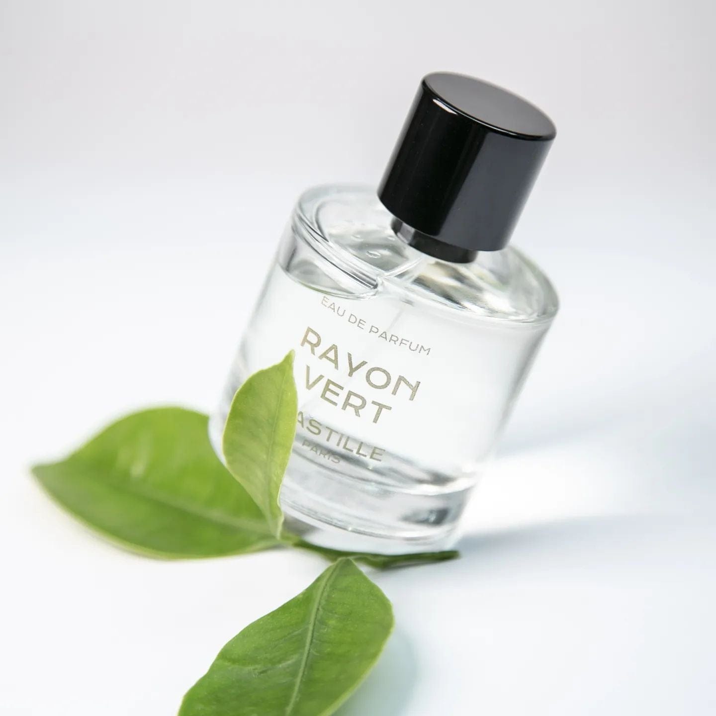 Bastille Rayon Vert