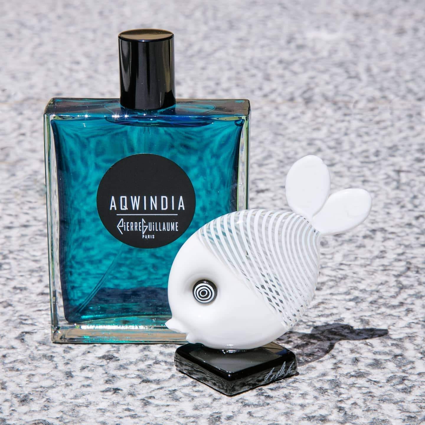 Pierre Guillaume Cruise/croisiere Aqwindia (Discontinued)
