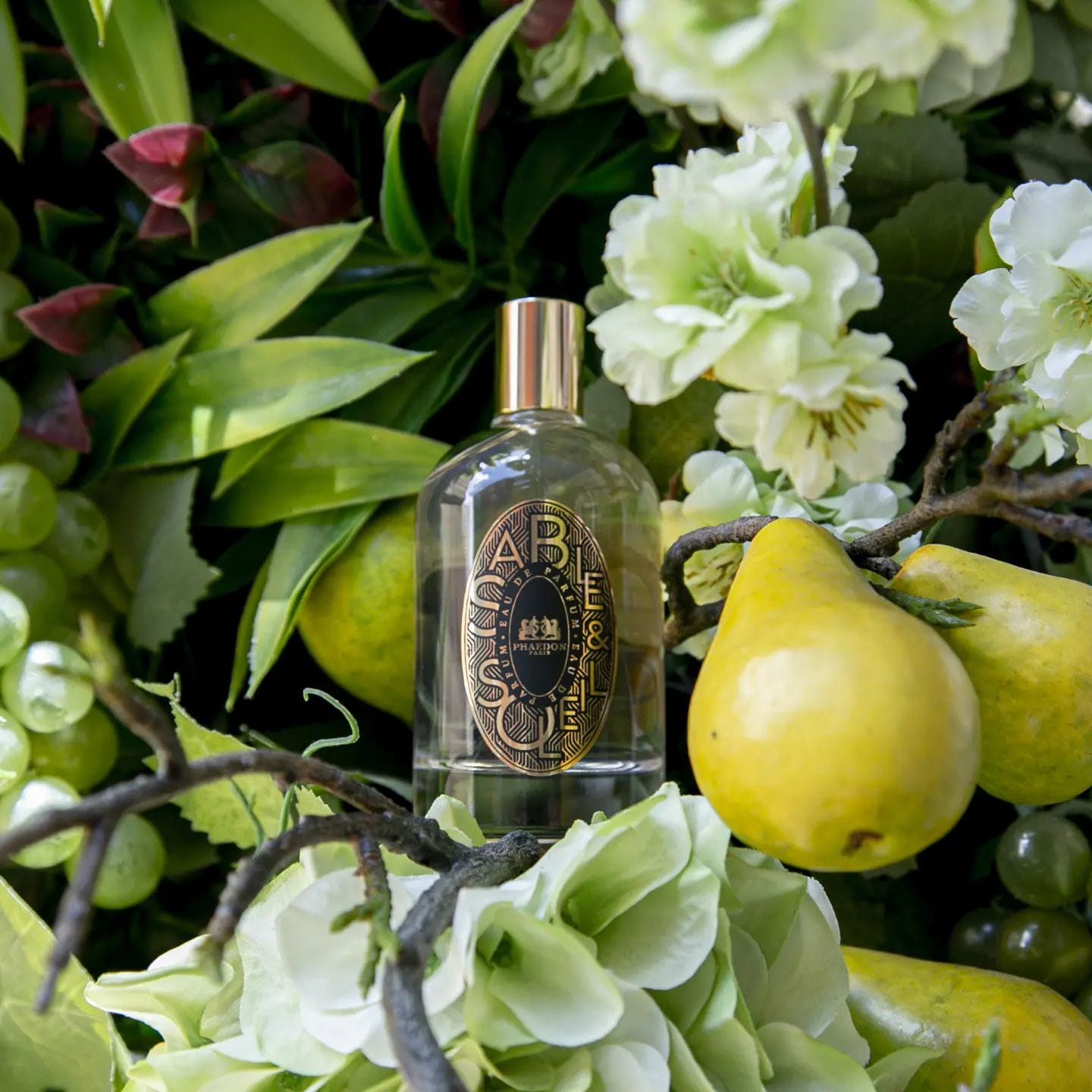 Phaedon Paris Sable & Soleil (Discontinued)