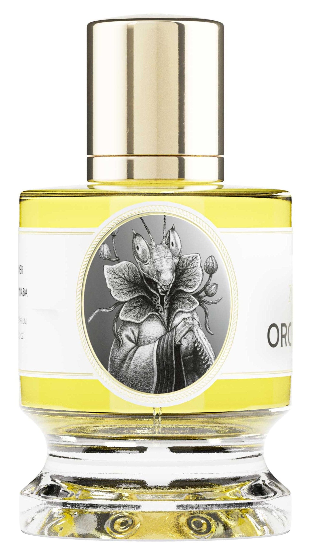 Zoologist Orchid Mantis