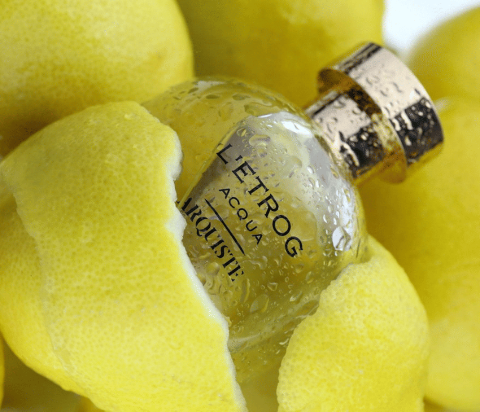 Arquiste L'Etrog Acqua