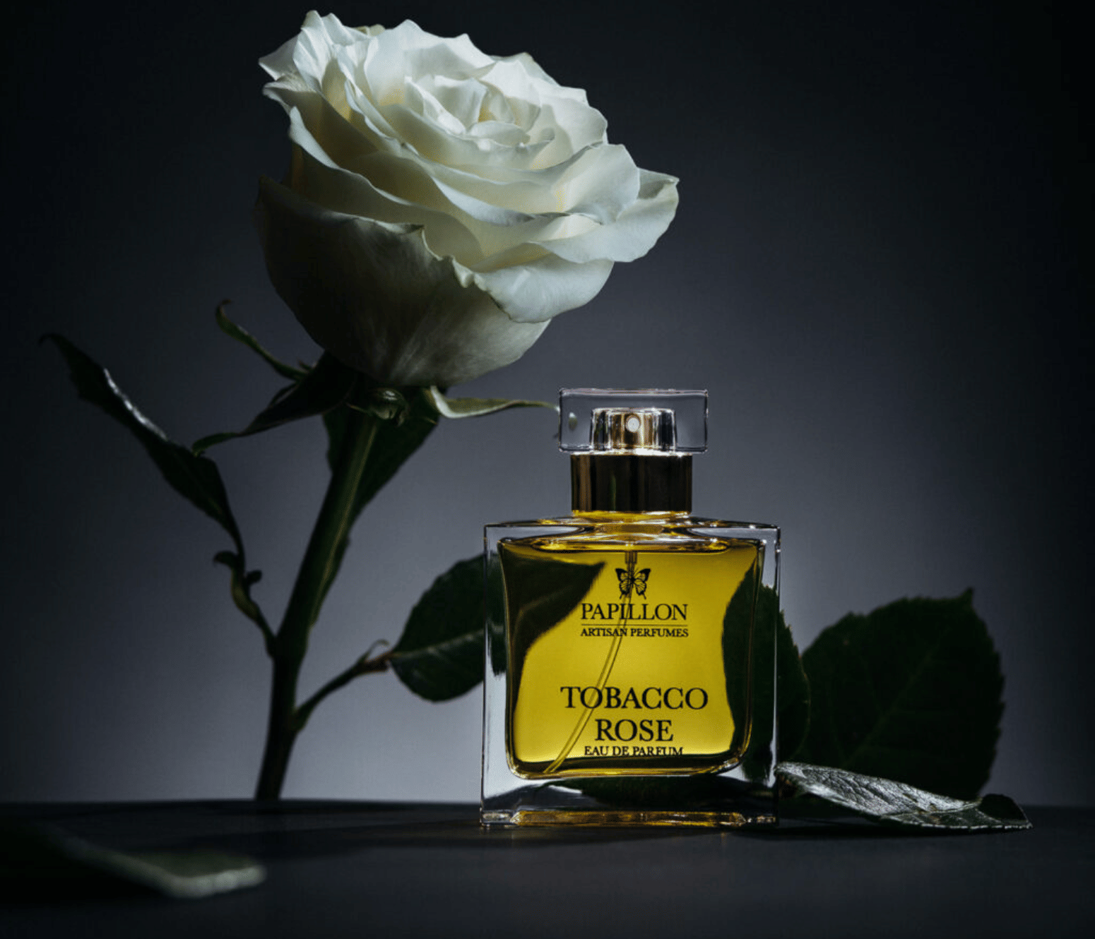 Papillon Tobacco Rose