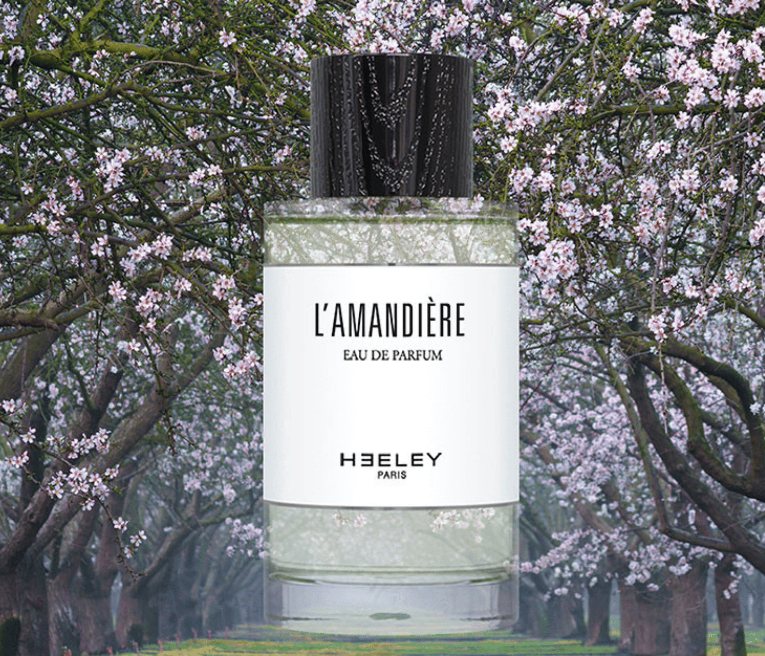 Heeley L'Amandière
