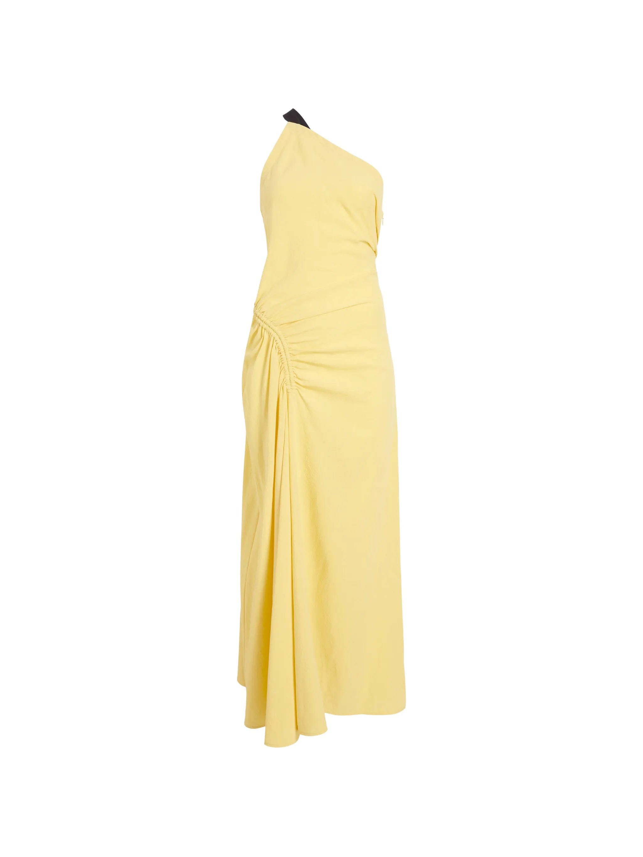 Proenza Schouler Sirena crinkled one - shoulder maxi dress