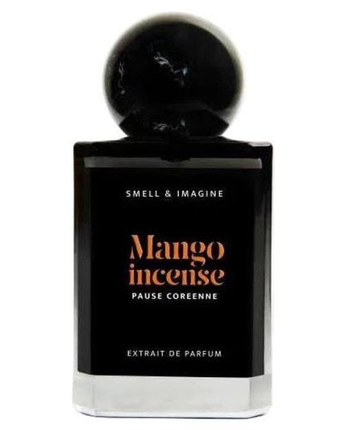 Pause Coréenne Mango Incense