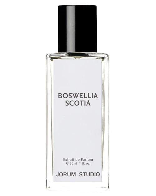 Jorum Studio Boswellia Scotia