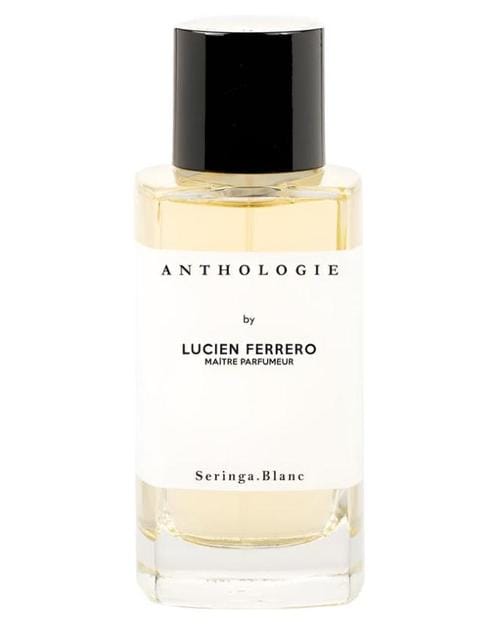 Anthologie Seringa Blanc
