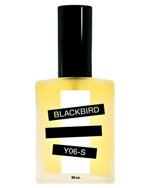 Blackbird Y06 - S
