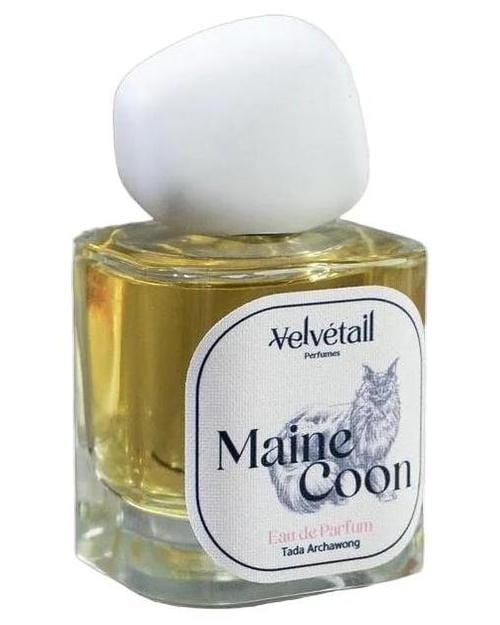 Velvétail Maine Coon