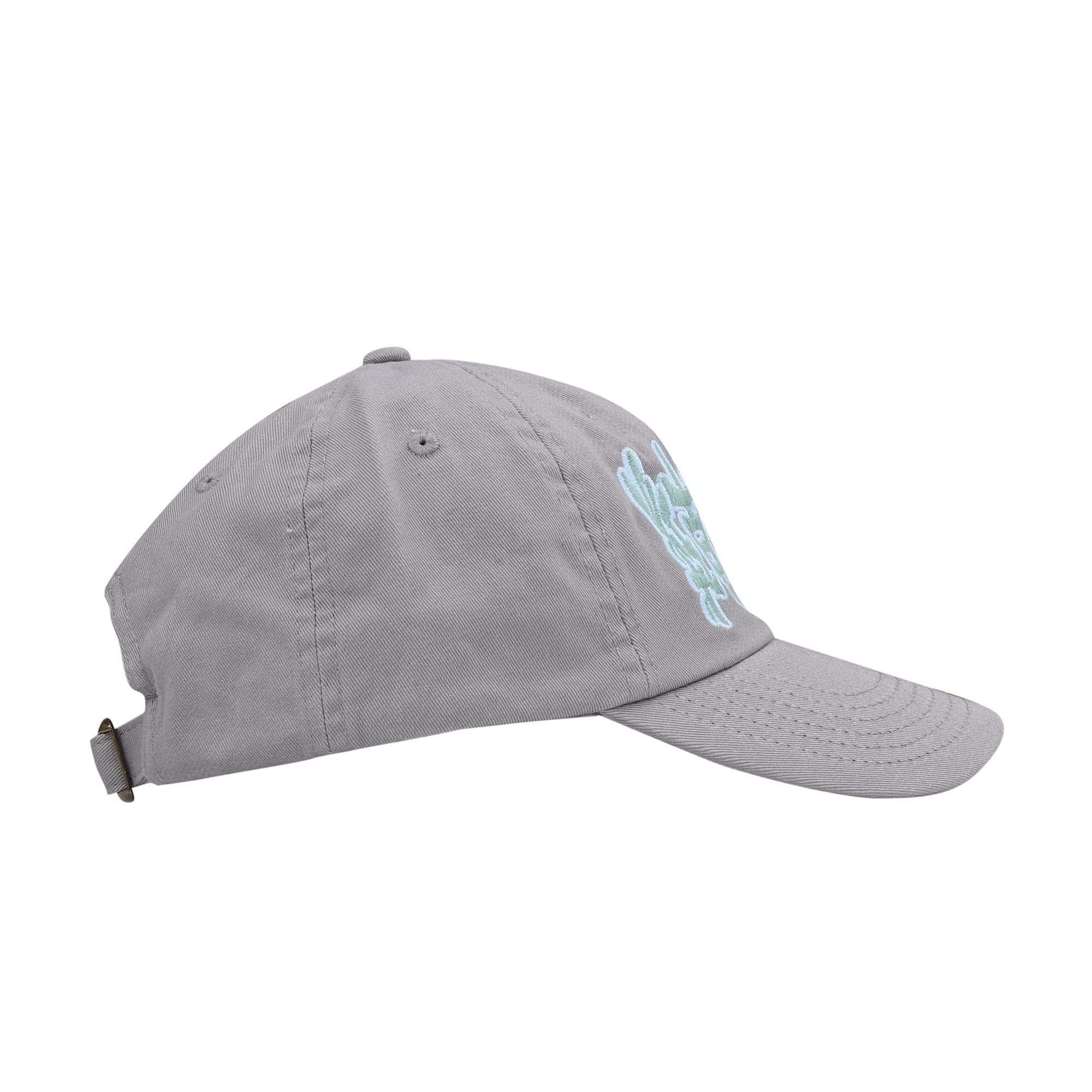 Lttt POV Cap - Grey