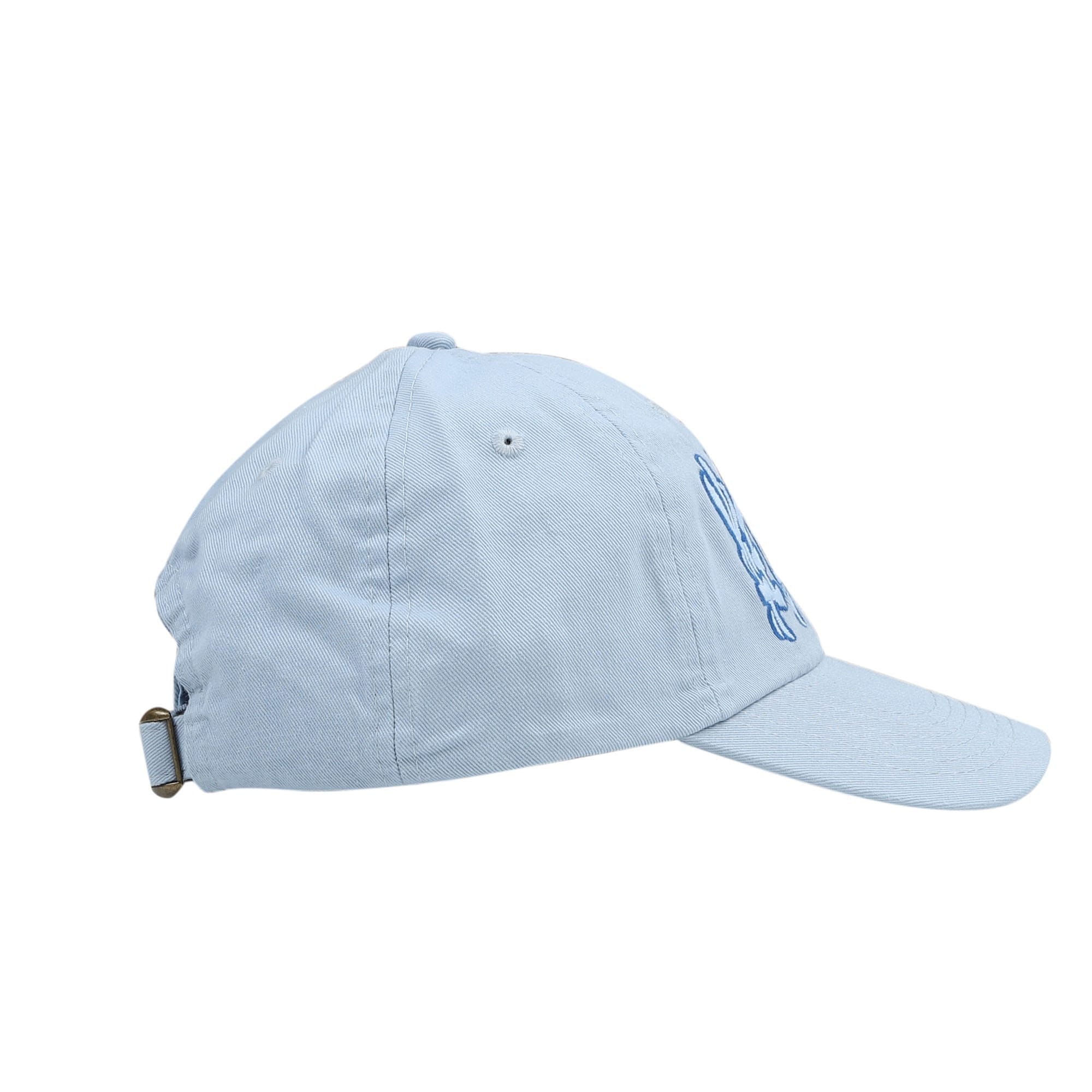 Lttt POV Cap - Blue