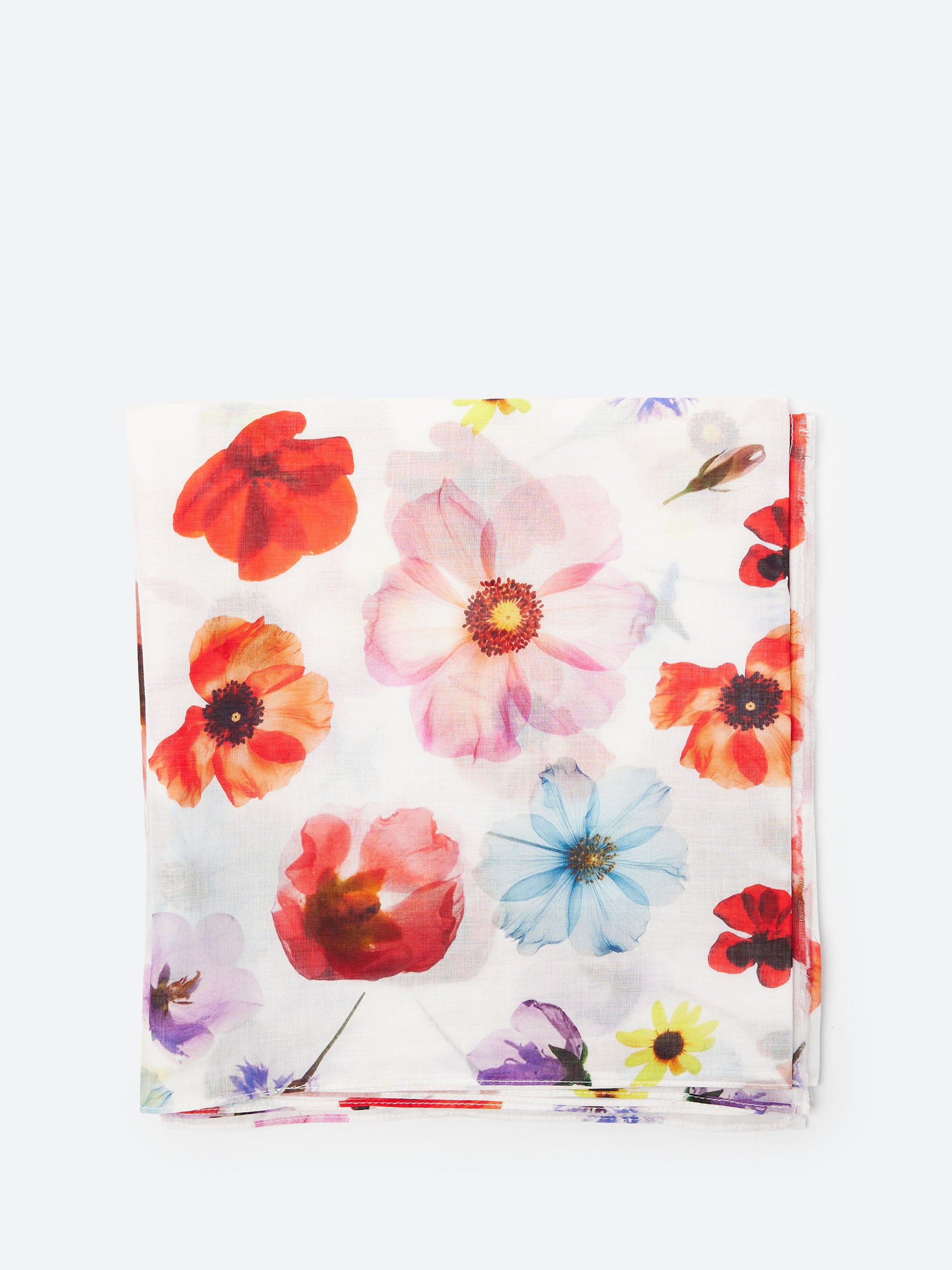 Hannoh Wessel Sadie Scarf