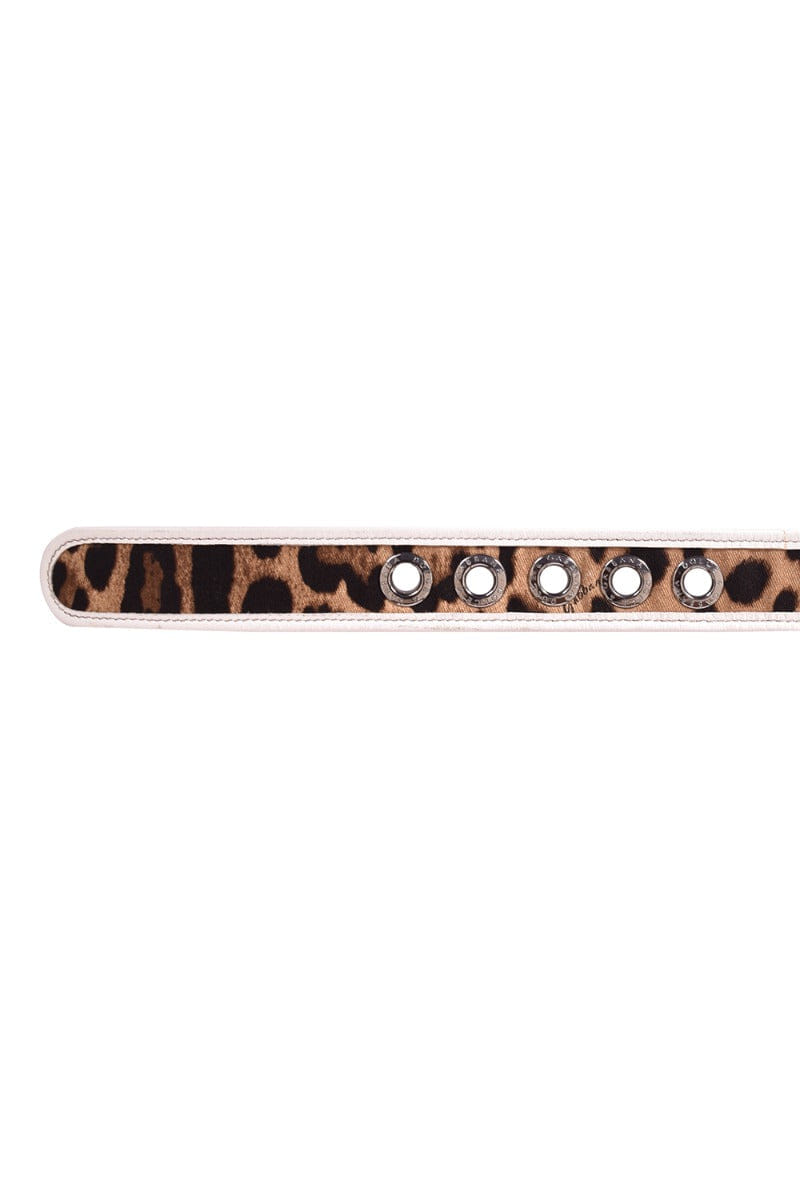 And Dolce And Gabbanna Leaopard Print Belt