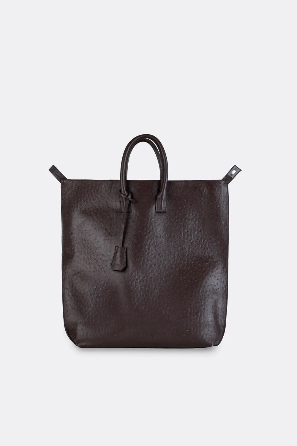 Aesthetic Pleasure Closer Embossed Ostrich Leather Backpack in Brown