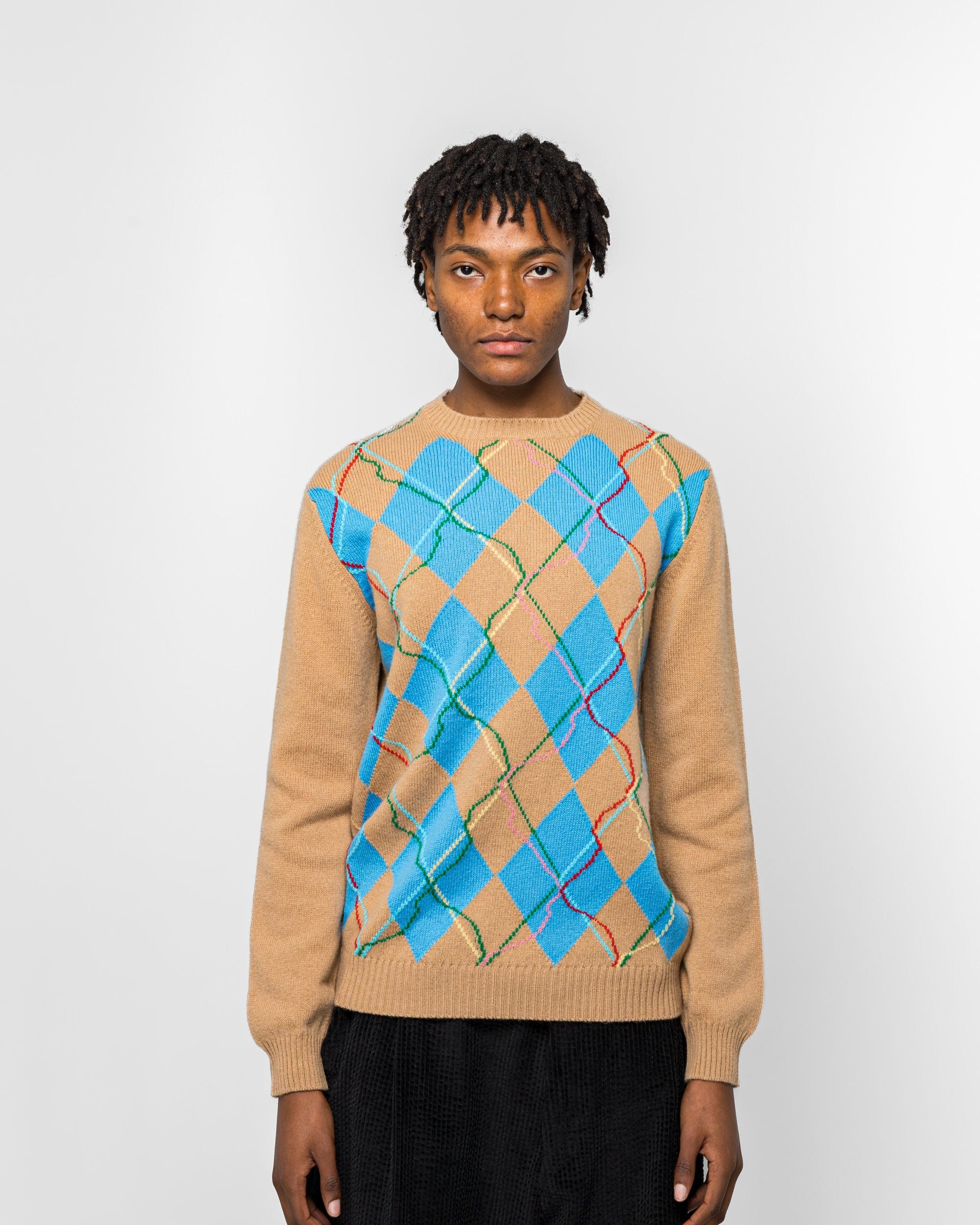 Dudley Coppice Wild Garden Knitted Jumper - Argyle