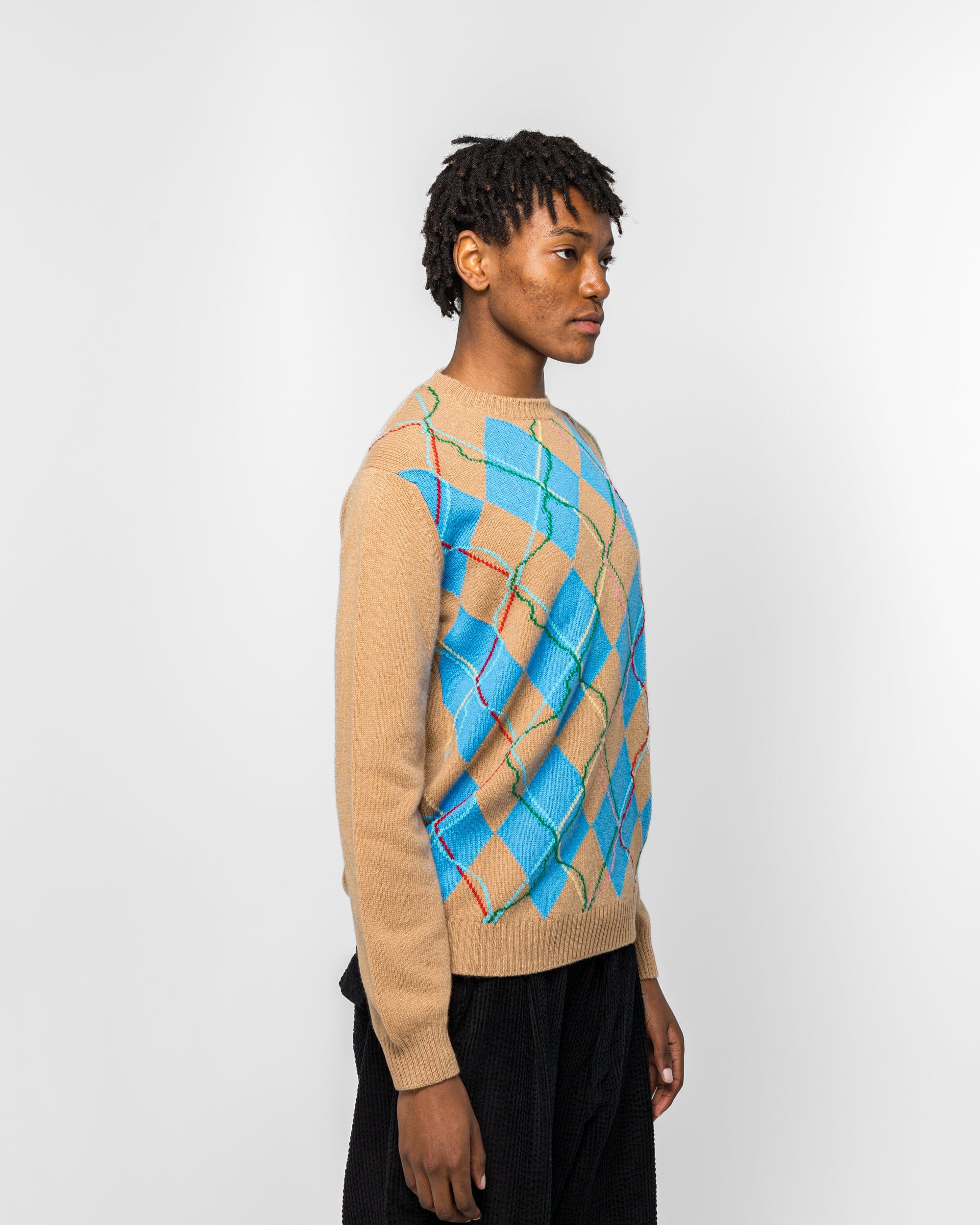 Dudley Coppice Wild Garden Knitted Jumper - Argyle