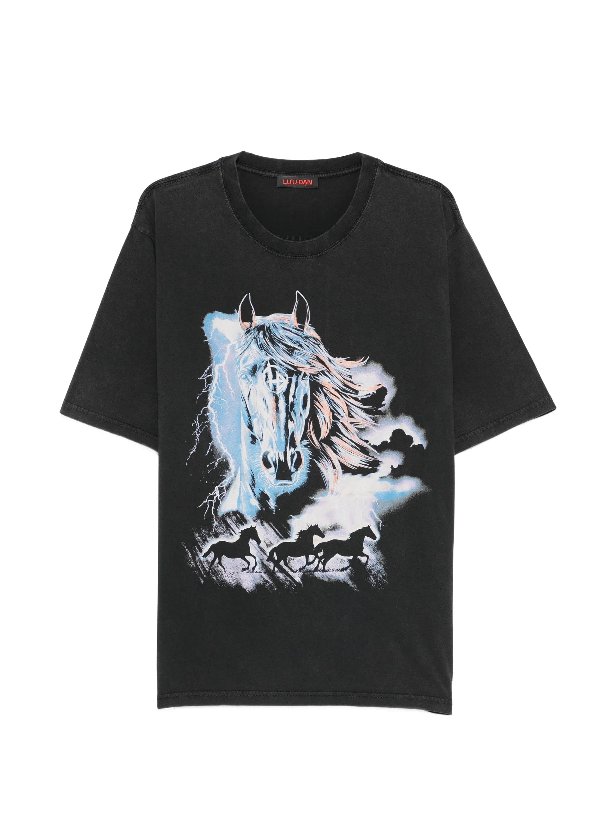 LỰU ĐẠN horse - graphic T - shirt