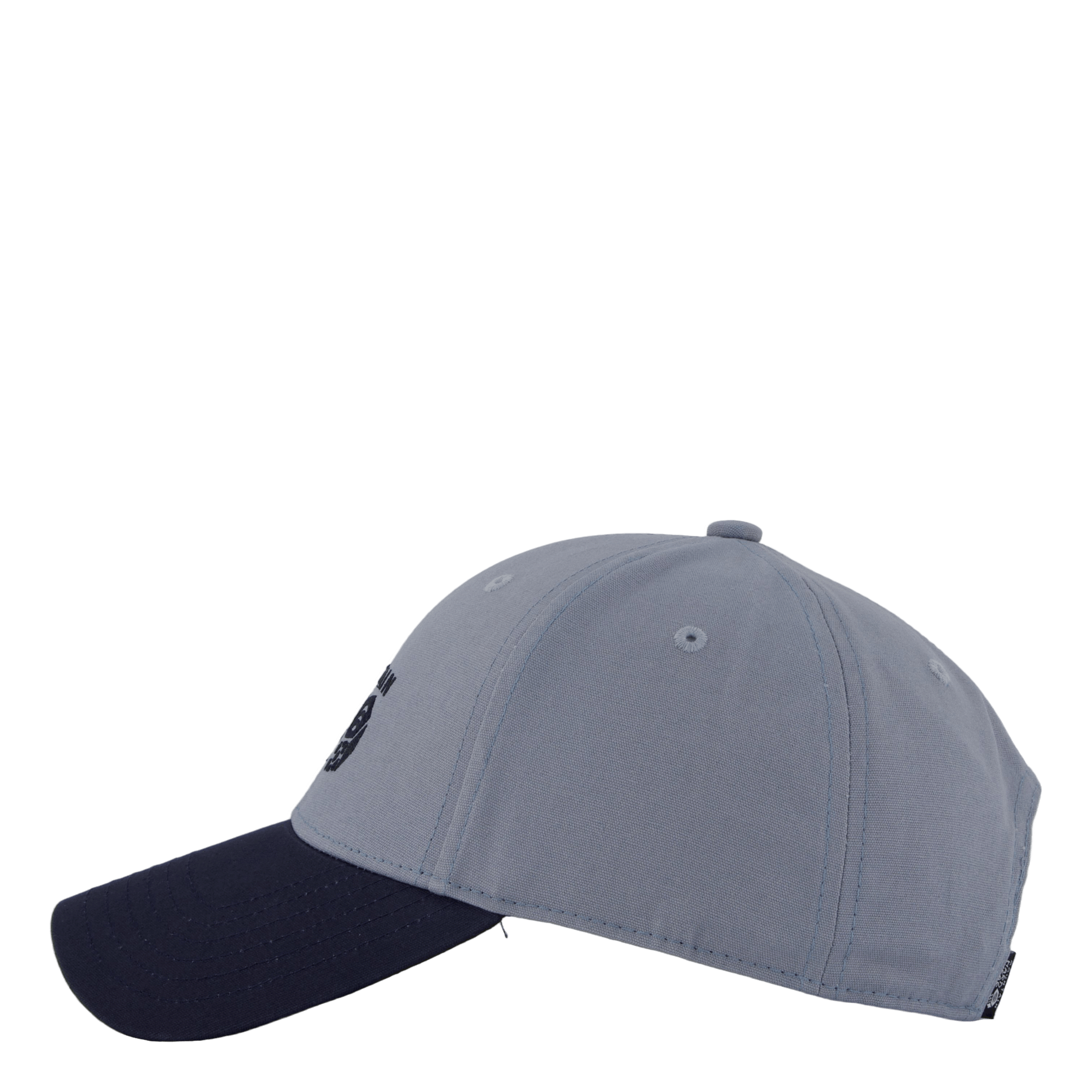 Mountain Hardwear Mhw Logo Cap Light Zinc
