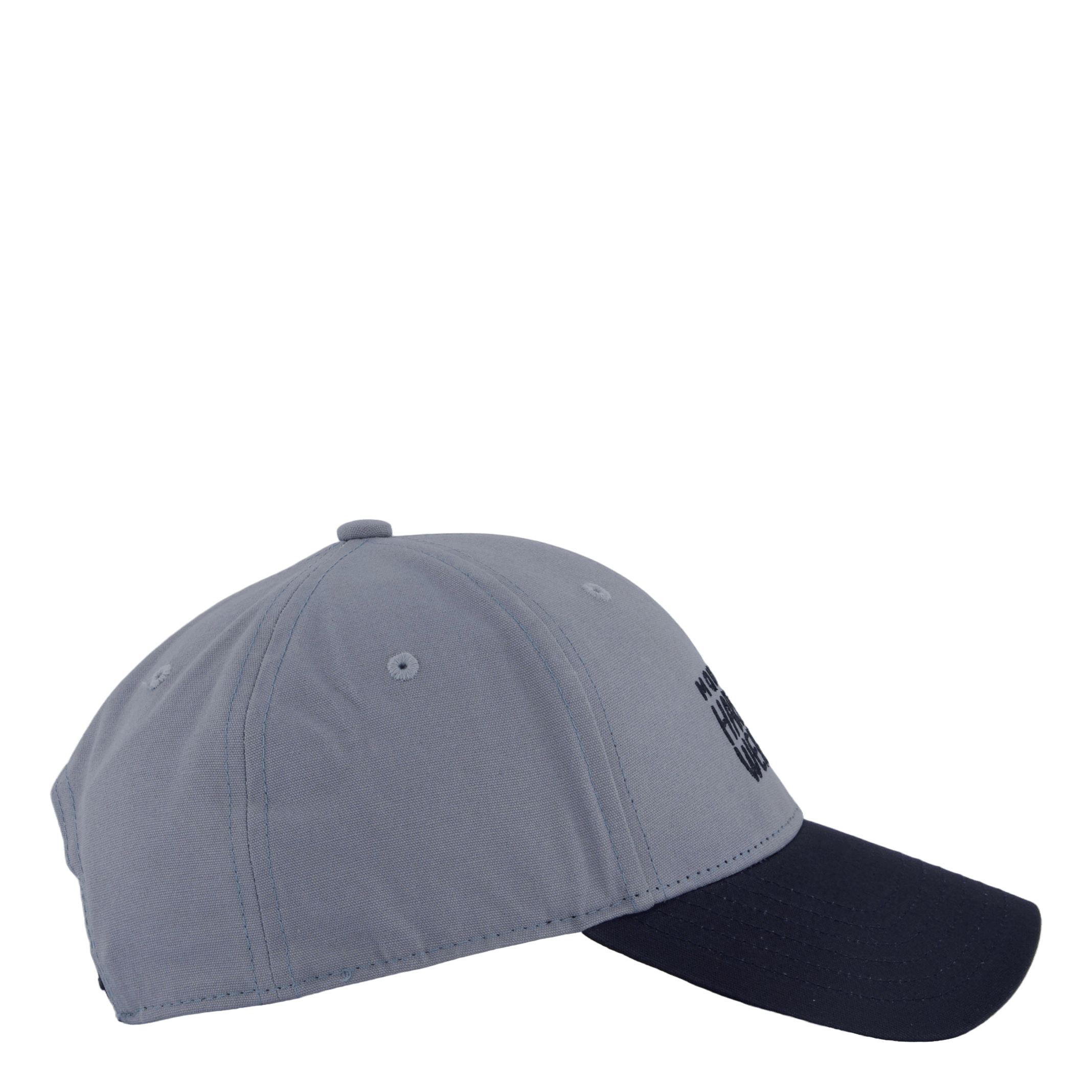 Mountain Hardwear Mhw Logo Cap Light Zinc