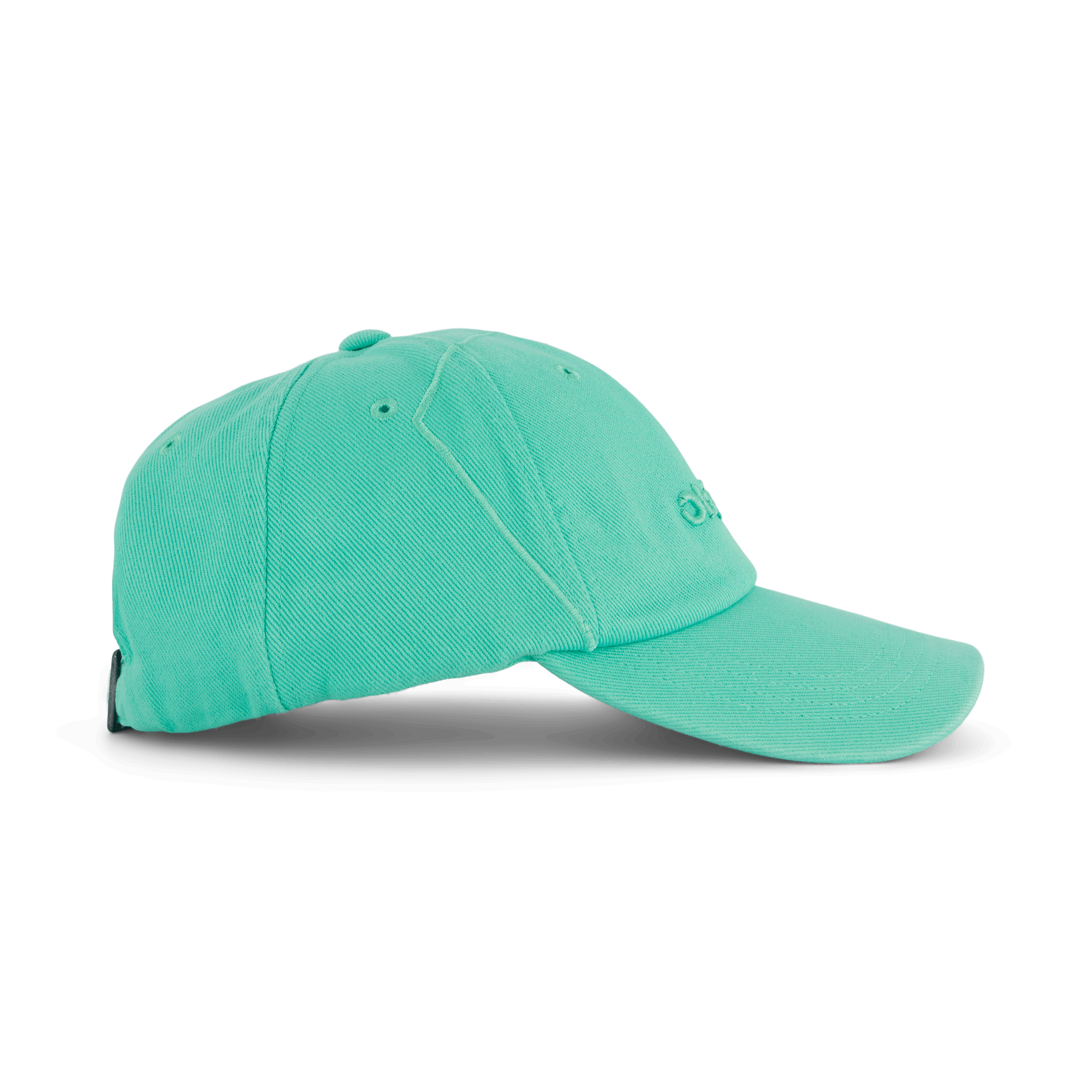 Objects IV Life Logo Cap Arsham Green