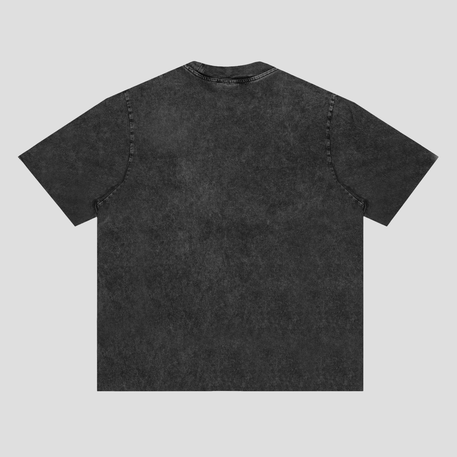 Amongst Few - Beware of The Dog T - Shirt (Washed Black)
