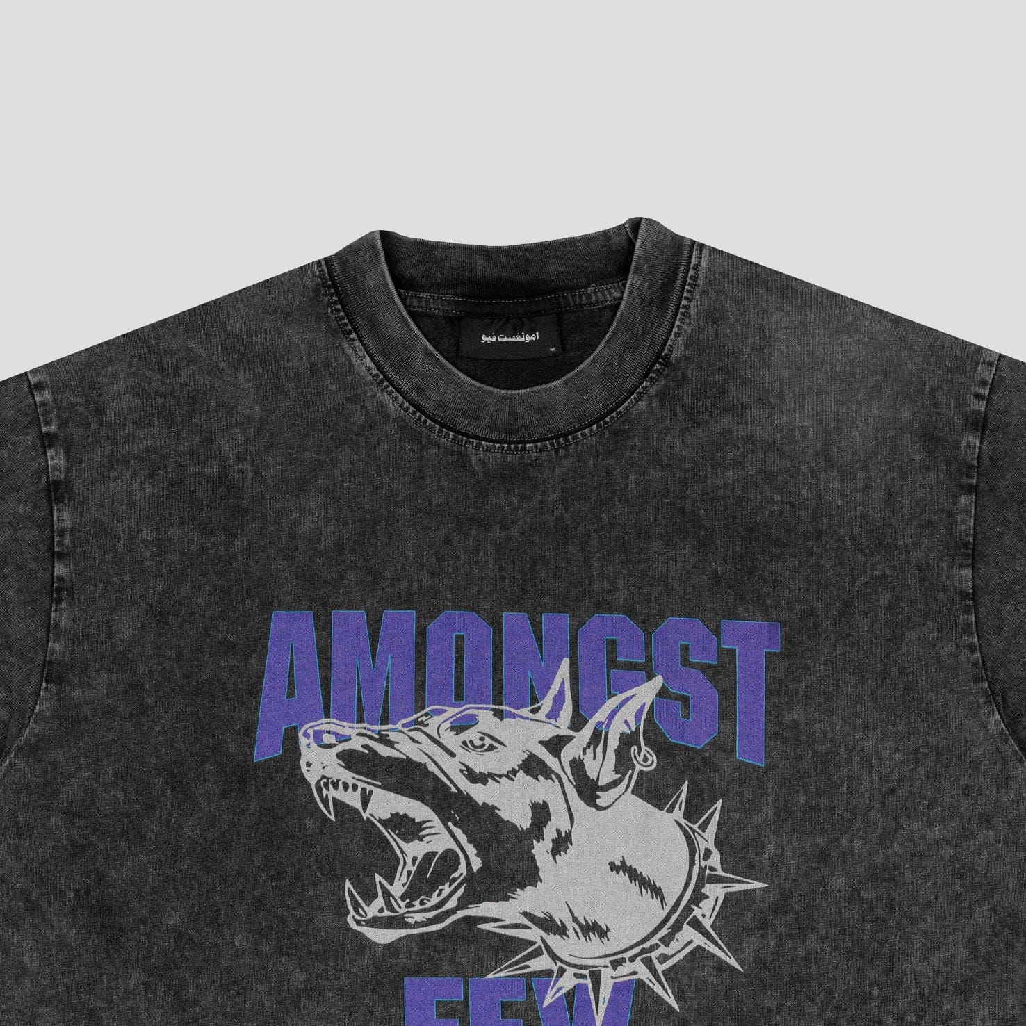 Amongst Few - Beware of The Dog T - Shirt (Washed Black)
