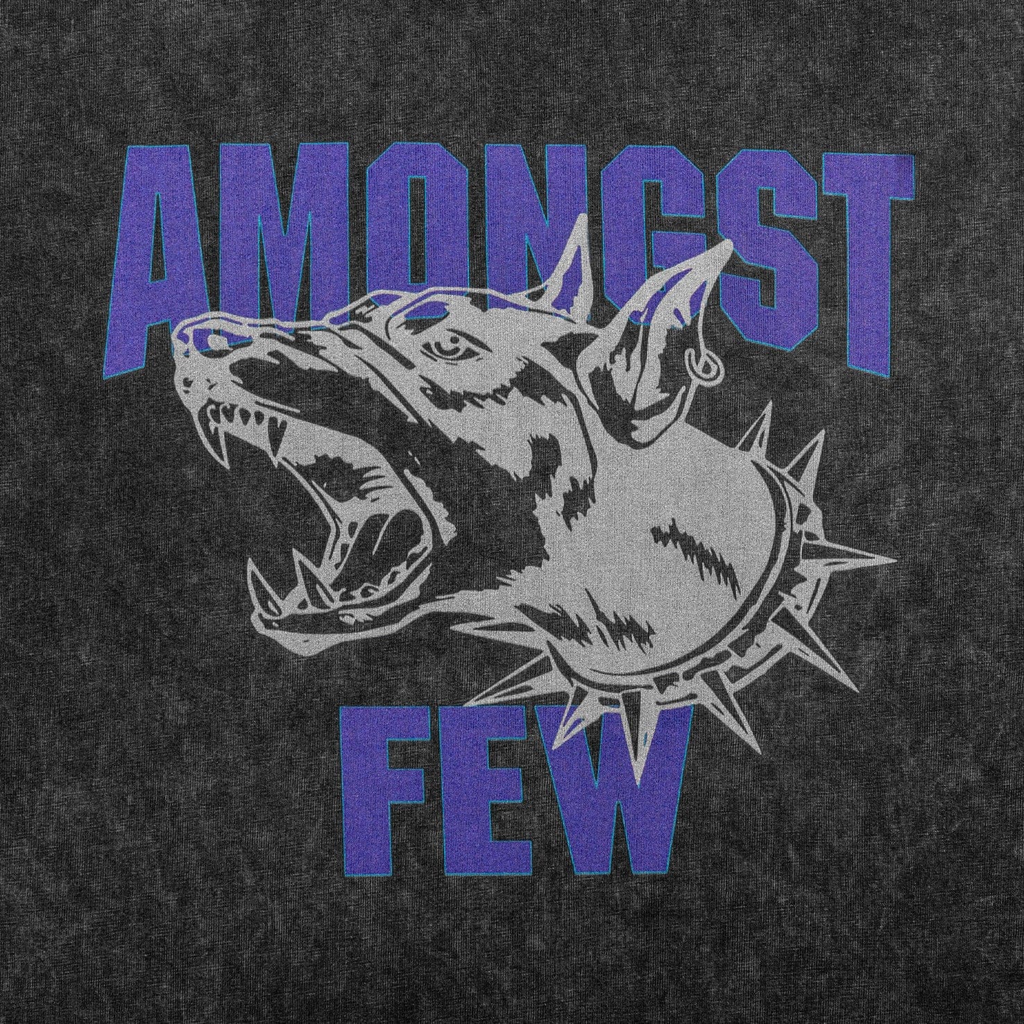 Amongst Few - Beware of The Dog T - Shirt (Washed Black)