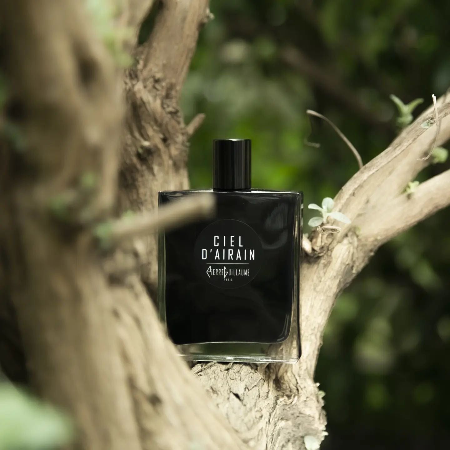 Pierre Guillaume Black Collection Ciel D’Airain (Discontinued)