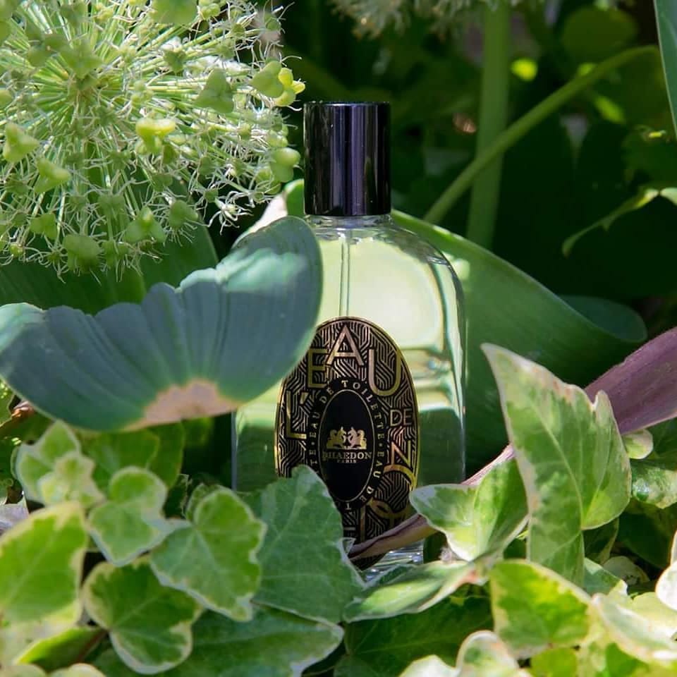 Phaedon Paris L'Eau de Phaedon (Discontinued)